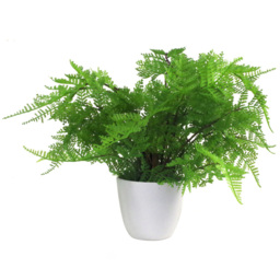 Leaf Lady Fern Artificial Plant Pot 30cm - Size: 30 x 40 x 40cm - Green - Wilko