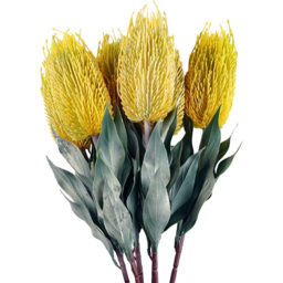Leaf Yellow Banksia Menziesii Artificial Stem 75cm 6 Pack - Size: 75 x 10 x 10cm - Wilko - thumbnail 3