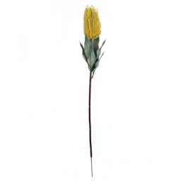 Leaf Yellow Banksia Menziesii Artificial Stem 75cm 6 Pack - Size: 75 x 10 x 10cm - Wilko - thumbnail 4