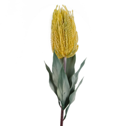 Leaf Yellow Banksia Menziesii Artificial Stem 75cm 6 Pack - Size: 75 x 10 x 10cm - Wilko - thumbnail 7