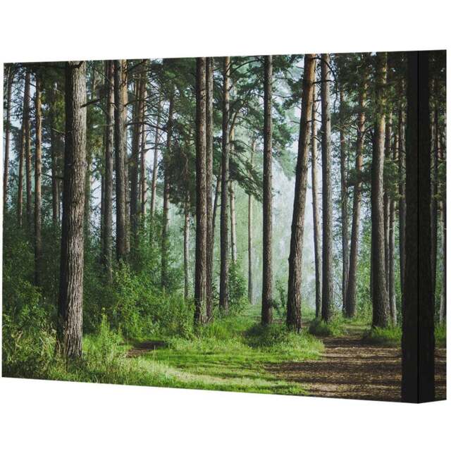 Benjamin Tate Design Beautiful Summer Forest with Different Trees Canvas 144 x 77cm - Green - Wilko - image 1