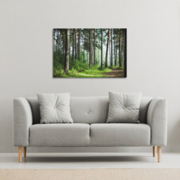Benjamin Tate Design Beautiful Summer Forest with Different Trees Canvas 144 x 77cm - Green - Wilko - thumbnail 3