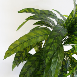 Leaf Green Variegated Calathea Artificial Plant Pot 1.9ft - Size: 60 x 60 x 60cm - Wilko - thumbnail 6