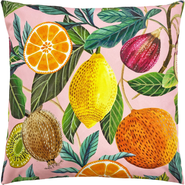 Evans Lichfield Citrus Multicolour Polyester Filled Outdoor Cushion - Size: 43 x 43cm - Pink - Wilko - image 1