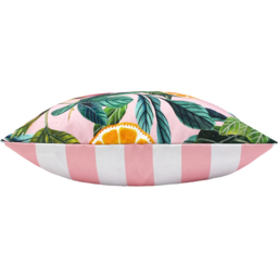 Evans Lichfield Citrus Multicolour Polyester Filled Outdoor Cushion - Size: 43 x 43cm - Pink - Wilko - thumbnail 5
