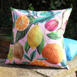 Evans Lichfield Citrus Multicolour Polyester Filled Outdoor Cushion - Size: 43 x 43cm - Pink - Wilko - thumbnail 3