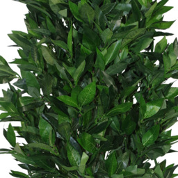 Leaf Pyramid Cones Topiary Bay XL Artificial Tree 2 Pack - Size: 120 x 45 x 45cm - Green - Wilko - thumbnail 4