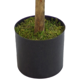 Leaf Artificial Boxwood Buxus Topiary Tree 120cm - Size: 120 x 40 x 40cm - Green - Wilko - thumbnail 3