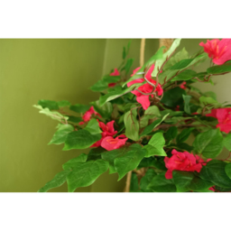 Botanik Japanese Silk Bougainvillaea Artificial Tree in Pot 5ft - Size: 150 x 70 x 70cm - Dark Pink - Wilko - thumbnail 4