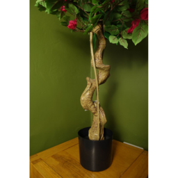 Botanik Japanese Silk Bougainvillaea Artificial Tree in Pot 5ft - Size: 150 x 70 x 70cm - Dark Pink - Wilko - thumbnail 5