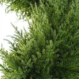 Leaf Spiral Cypress Topiary Artificial Tree in Pot 4ft 2 Pack - Size: 120 x 35 x 35cm - Green - Wilko - thumbnail 4
