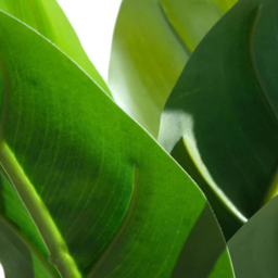 Leaf Aureum Artificial Plant in Pot 45cm - Size: 45 x 30 x 30cm - Green - Wilko - thumbnail 5