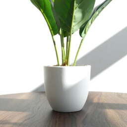 Leaf Aureum Artificial Plant in Pot 45cm - Size: 45 x 30 x 30cm - Green - Wilko - thumbnail 6