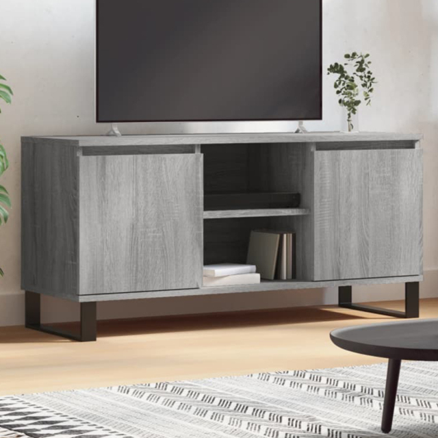 vidaXL 2 Door 2 Drawer Grey Sonoma TV Cabinet - Size: 50 x 104 x 35cm - Wilko - image 1