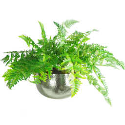 Botanik Silver Metal Straight Edge Hammered Planter 20 x 32cm - Size: 20 x 30 x 30cm - Wilko - thumbnail 4