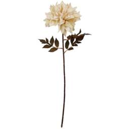 Leaf Dusty Cream Dahlia Single Stem Artificial Flower 6 Pack - Size: 55 x 15 x 15cm - Wilko - thumbnail 1