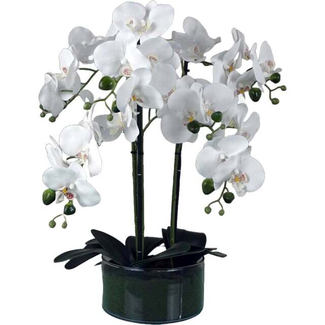 Botanik White Orchid Artificial Tree in Glass Planter 50cm - Size: 50 x 40 x 40cm - Wilko - image 1