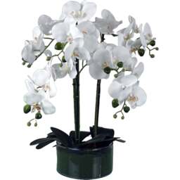 Botanik White Orchid Artificial Tree in Glass Planter 50cm - Size: 50 x 40 x 40cm - Wilko