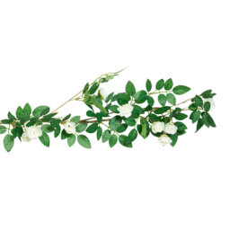 Ivory Victoria Rose Garland 188cm - Wilko - thumbnail 4