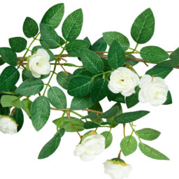 Ivory Victoria Rose Garland 188cm - Wilko - thumbnail 5