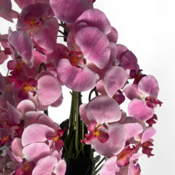 Leaf Pink Orchid Display Artificial Plant in Pot 5ft - Size: 150 x 75 x 75cm - Wilko - thumbnail 4