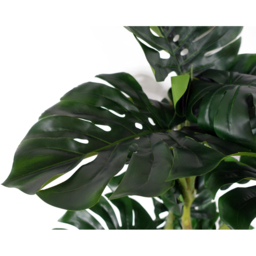 Botanik Monstera Artificial Plant in Pot 5ft - Size: 150 x 80 x 80cm - Green - Wilko - thumbnail 5