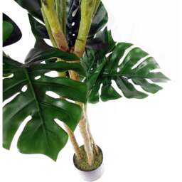 Botanik Monstera Artificial Plant in Pot 5ft - Size: 150 x 80 x 80cm - Green - Wilko - thumbnail 4
