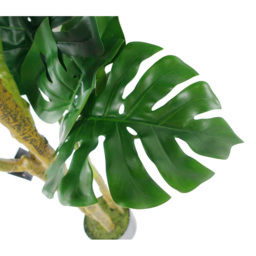 Botanik Monstera Artificial Plant in Pot 5ft - Size: 150 x 80 x 80cm - Green - Wilko - thumbnail 6