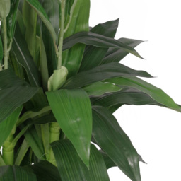 Leaf Artificial White Cymbidium Orchid Plant 100cm - Size: 100 x 40 x 40cm - Wilko - thumbnail 4