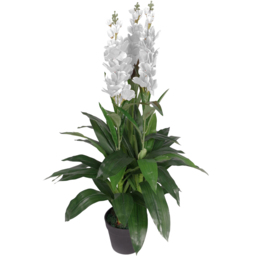 Leaf Artificial White Cymbidium Orchid Plant 100cm - Size: 100 x 40 x 40cm - Wilko - thumbnail 1