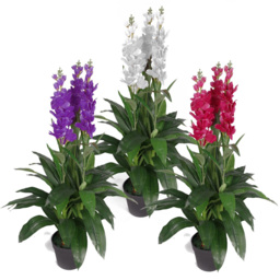 Leaf Artificial White Cymbidium Orchid Plant 100cm - Size: 100 x 40 x 40cm - Wilko - thumbnail 3