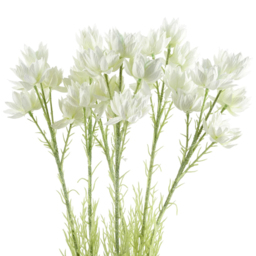 Leaf 30 White Starflower Artificial Stem Flowers 60cm 6 Pack - Size: 60 x 8 x 8cm - Wilko - thumbnail 4