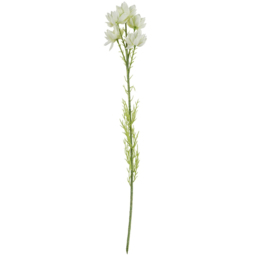 Leaf 30 White Starflower Artificial Stem Flowers 60cm 6 Pack - Size: 60 x 8 x 8cm - Wilko - thumbnail 3
