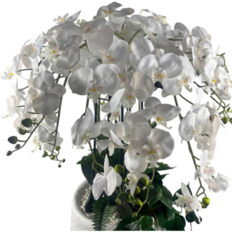 Leaf White Orchid Display Artificial Plant in Pot 5ft - Size: 150 x 80 x 80cm - Pink - Wilko - thumbnail 3
