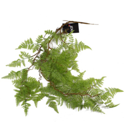 Leaf Artificial Hanging Maidenhair Fern Plant 100cm - Size: 100 x 30 x 2cm - Green - Wilko