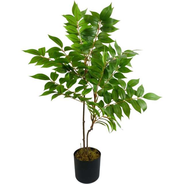 Leaf Evergreen Toona Sinensis Artificial Plant 65cm - Size: 65 x 40 x 40cm - Wilko - image 1