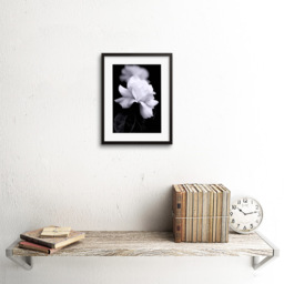 Wee Blue Coo Black and White Rose Petal Nature Framed Wall Art Print 23 x 18cm - Size: 25.9 x 20.6 x 1.5cm - Wilko - thumbnail 3
