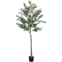 Portland Faux Potted Silk Olive Indoor Artificial Tree 180cm - Size: 180 x 15 x 15cm - Green - Wilko