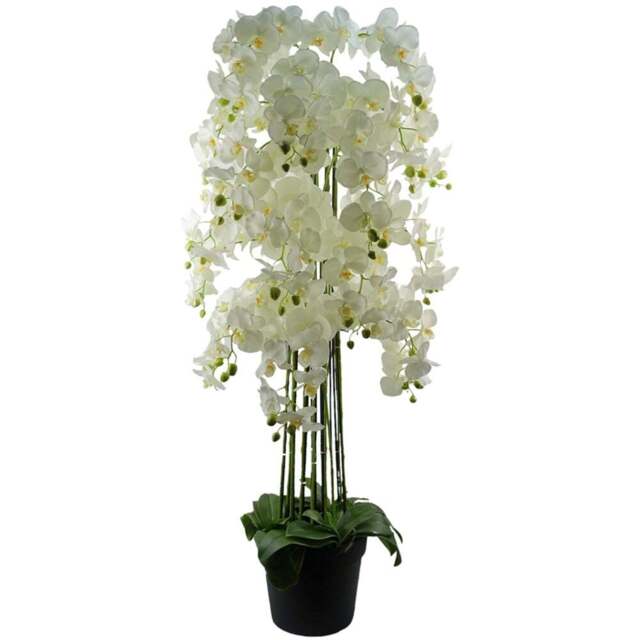 Botanik Giant White Orchid Artificial Plant in Pot 5ft - Size: 150 x 70 x 70cm - Wilko - image 1