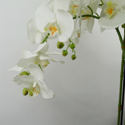 Botanik Giant White Orchid Artificial Plant in Pot 5ft - Size: 150 x 70 x 70cm - Wilko - thumbnail 5