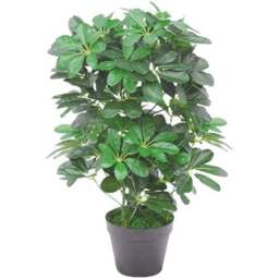 Leaf Dwarf Umbrella Tree Artificial Plant in Pot 55cm - Size: 55 x 45 x 45cm - Green - Wilko - thumbnail 1