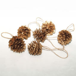St Helens Gold Hanging Pine Cone Decoration 6 Pack - Multi - Wilko - thumbnail 6