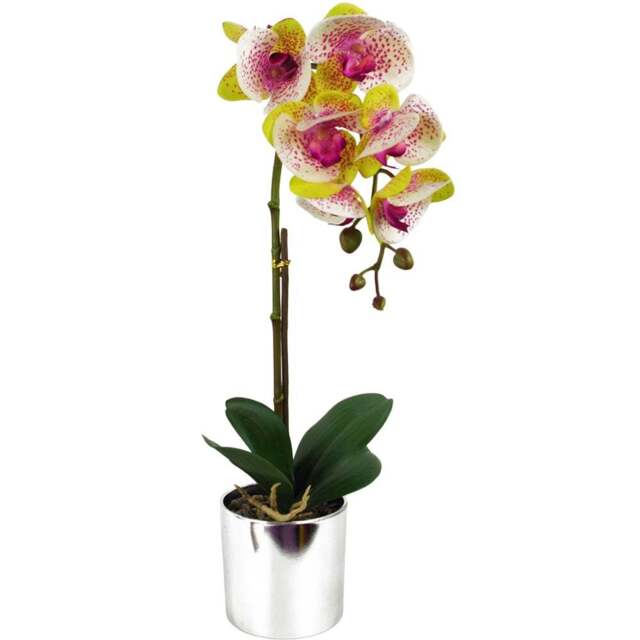 Botanik Pink Harlequin Orchid Artificial Plant in Silver Pot 46cm - Size: 46 x 15 x 15cm - Wilko - image 1