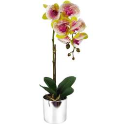 Botanik Pink Harlequin Orchid Artificial Plant in Silver Pot 46cm - Size: 46 x 15 x 15cm - Wilko