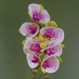 Botanik Pink Harlequin Orchid Artificial Plant in Silver Pot 46cm - Size: 46 x 15 x 15cm - Wilko - thumbnail 4