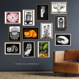 Artery8 Vintage 1917 Julie De Graag Owl Cat Frog Fern Wall Art Print 30 x 41cm 12 Pack - Size: 40.5 x 30.5 x 0.3cm - Multi - Wilko - thumbnail 3