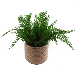 Leaf Dusty Peach Raised Dots Ceramic Plant Pot 15 x 15 x 12.5cm - Size: 12.5 x 15 x 15cm - Orange - Wilko - thumbnail 4