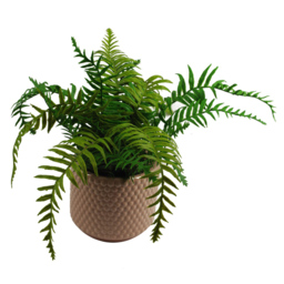 Leaf Dusty Peach Raised Dots Ceramic Plant Pot 15 x 15 x 12.5cm - Size: 12.5 x 15 x 15cm - Orange - Wilko - thumbnail 6