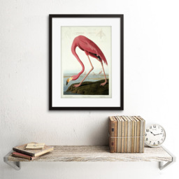 Wee Blue Coo Audubon American Flamingo Painting Framed Wall Art Print 30 x 41cm - Size: 43.3 x 33.3 x 1.5cm - Pink - Wilko - thumbnail 3