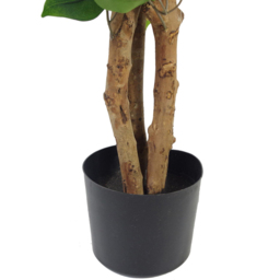 Botanik Evergreen Bushy Ficus Realistic Artificial House Plant 2.9ft - Size: 90 x 20 x 20cm - Wilko - thumbnail 3